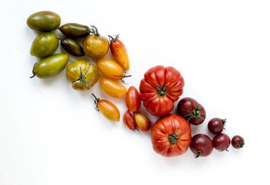 [Юлия Мальцева] Фитонутриенты_ Еда как лекарство.П_0.png